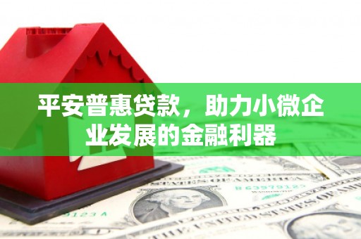 临泉平安普惠贷款，助力小微企业发展的金融利器